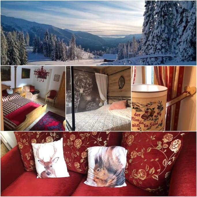 Holiday Guesthouse La Casina Di Butzi Pet Friendly - Terme Di Arta - Zoncolan Arta Terme Ngoại thất bức ảnh