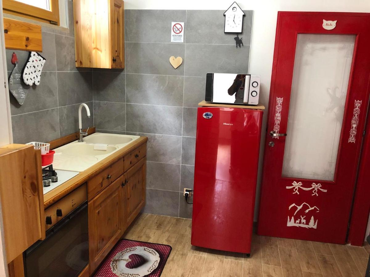 Holiday Guesthouse La Casina Di Butzi Pet Friendly - Terme Di Arta - Zoncolan Arta Terme Ngoại thất bức ảnh