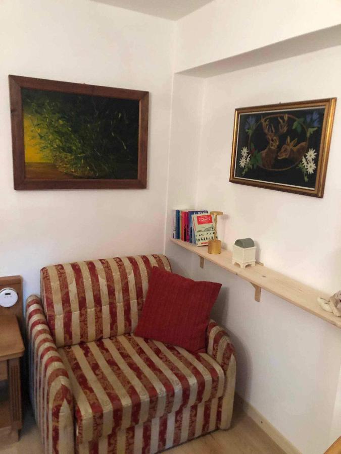 Holiday Guesthouse La Casina Di Butzi Pet Friendly - Terme Di Arta - Zoncolan Arta Terme Ngoại thất bức ảnh