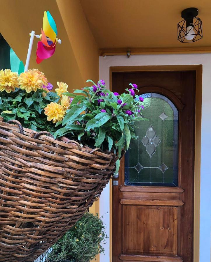 Holiday Guesthouse La Casina Di Butzi Pet Friendly - Terme Di Arta - Zoncolan Arta Terme Ngoại thất bức ảnh