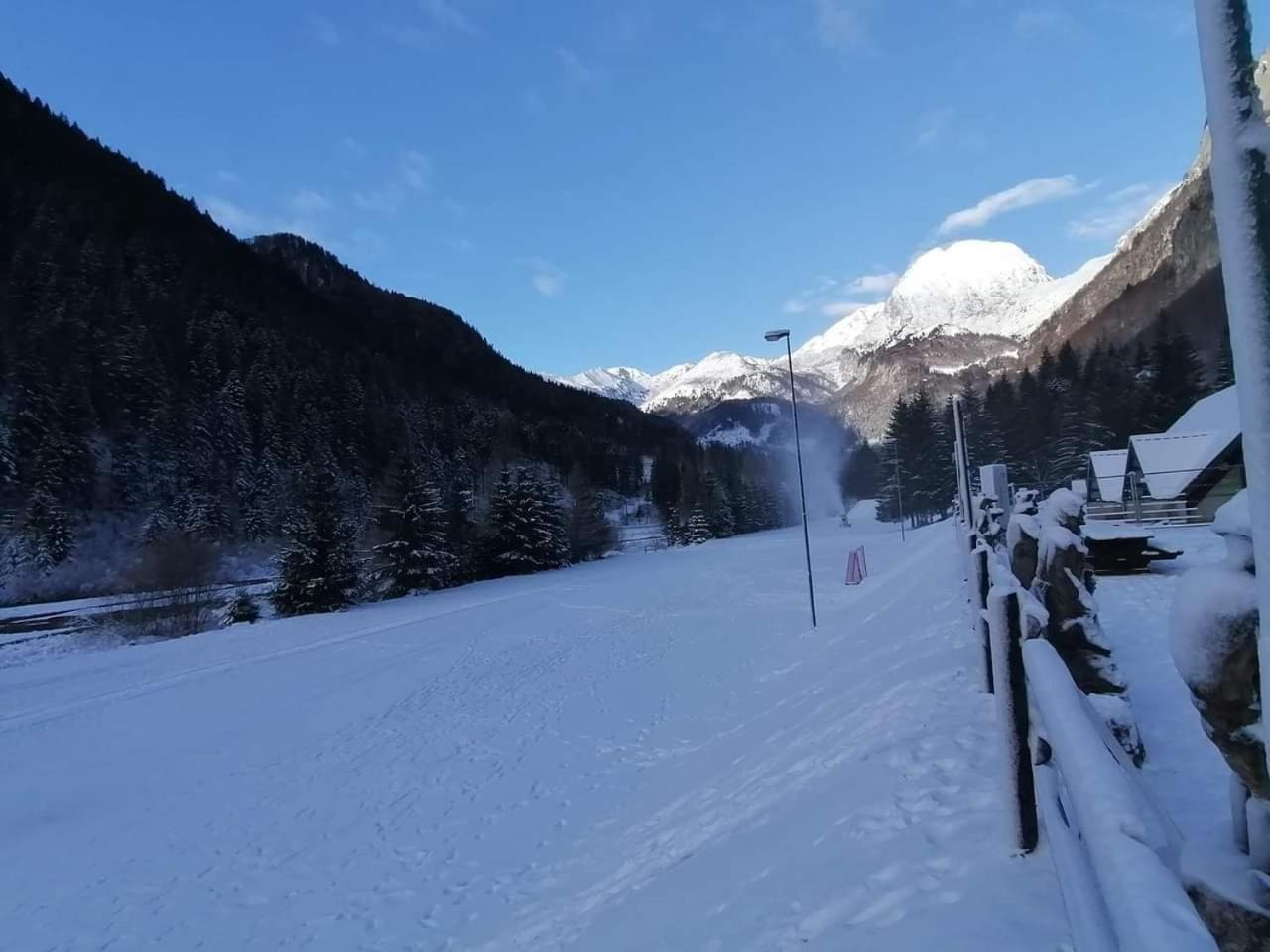 Holiday Guesthouse La Casina Di Butzi Pet Friendly - Terme Di Arta - Zoncolan Arta Terme Ngoại thất bức ảnh