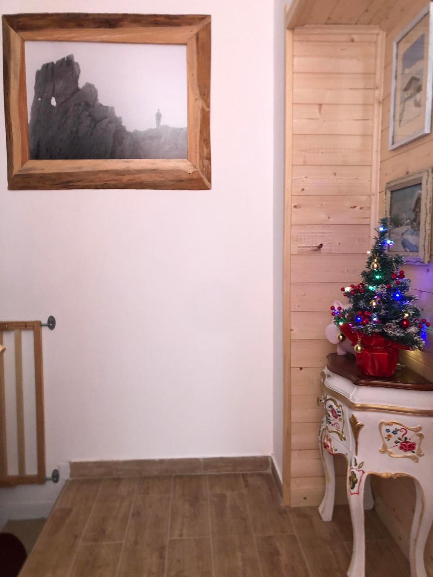 Holiday Guesthouse La Casina Di Butzi Pet Friendly - Terme Di Arta - Zoncolan Arta Terme Ngoại thất bức ảnh