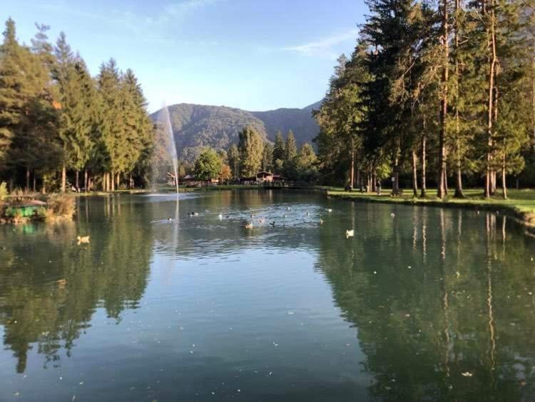 Holiday Guesthouse La Casina Di Butzi Pet Friendly - Terme Di Arta - Zoncolan Arta Terme Ngoại thất bức ảnh